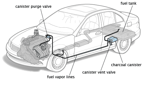 Why You Need to Know About the EVAP System – SPELAB